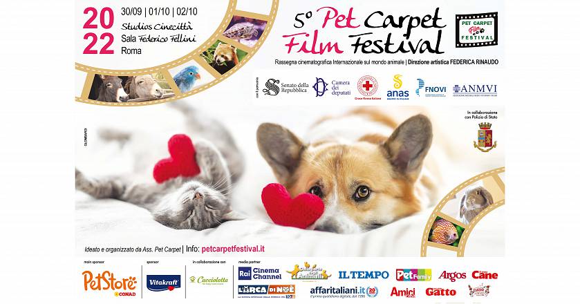 V° pet carpet film festival con manuela arcuri, enzo salvi e il cane più anziano del mondo